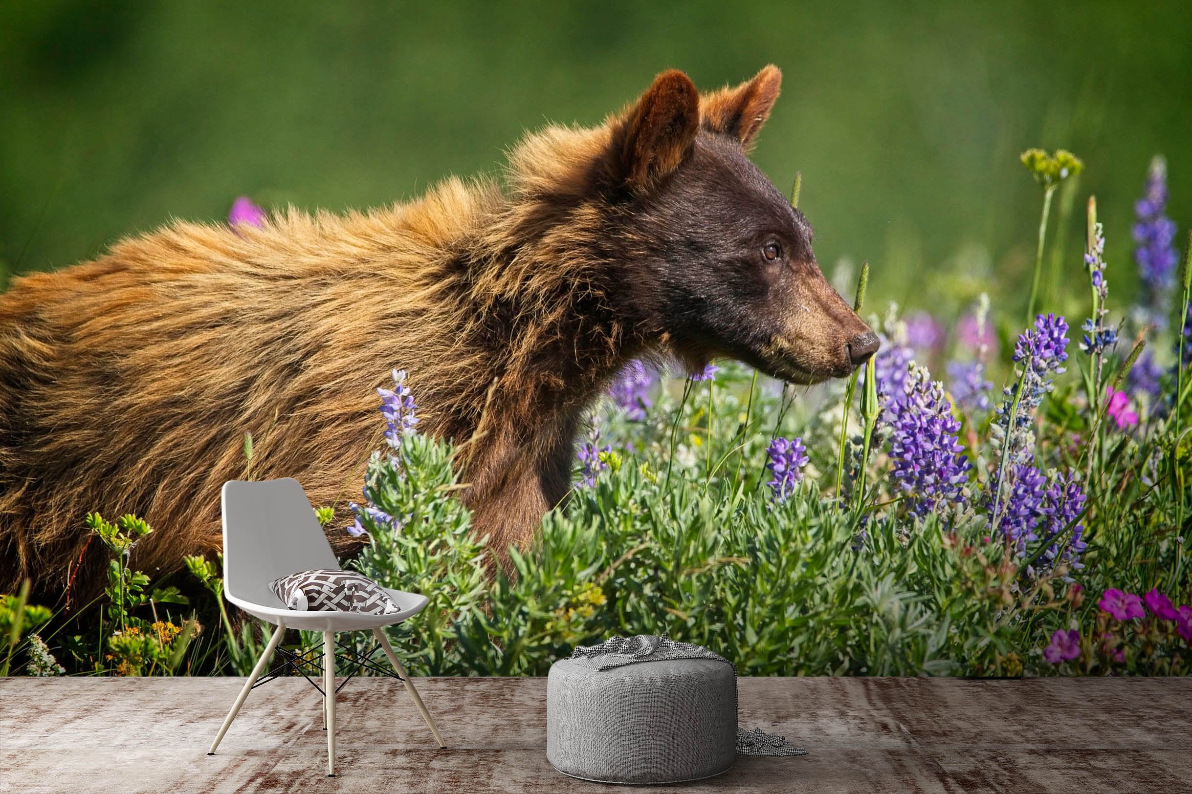 3D Bear Cub 102 Kathy Barefield Wall Mural Wall Murals Wallpaper AJ Wallpaper 2