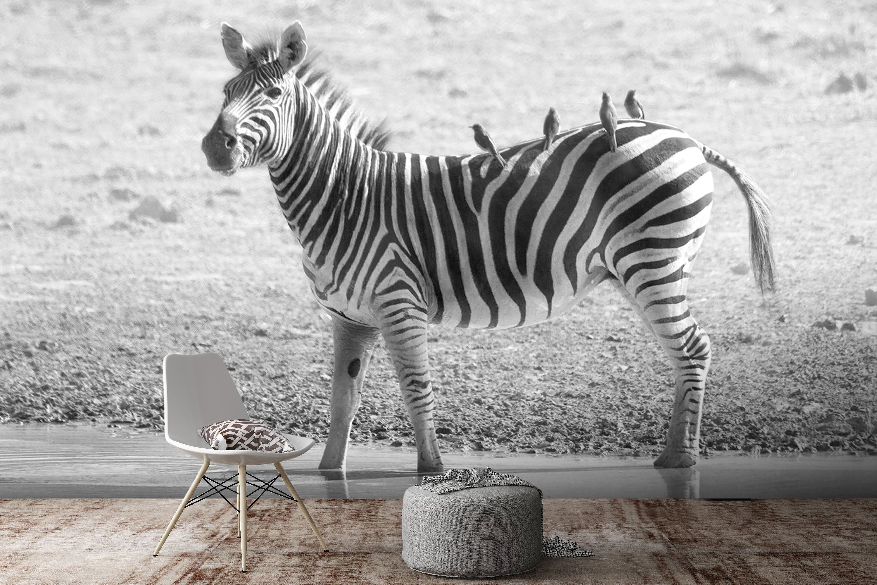 3D River Zebra 354 Wall Murals