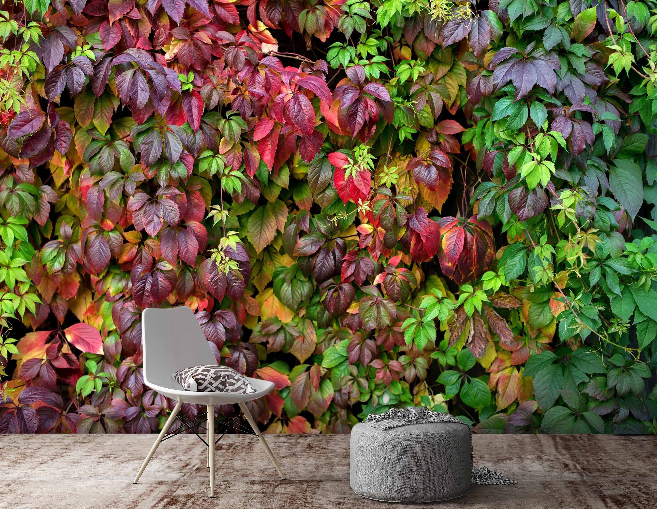 3D Red Leaf Plant Wall 5454 Wallpaper AJ Wallpaper 2