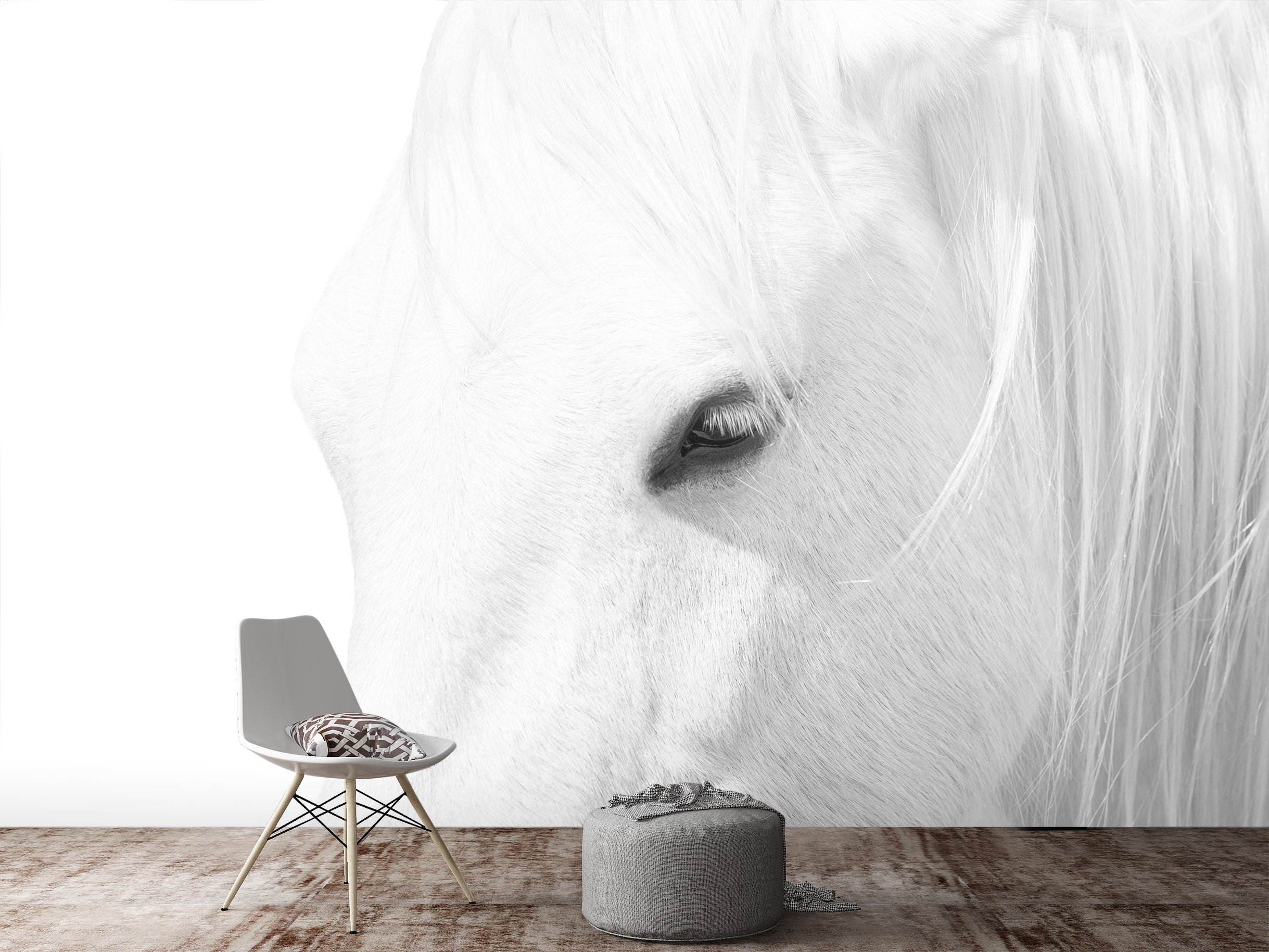 3D White Horse 1452 Marco Carmassi Wall Mural Wall Murals