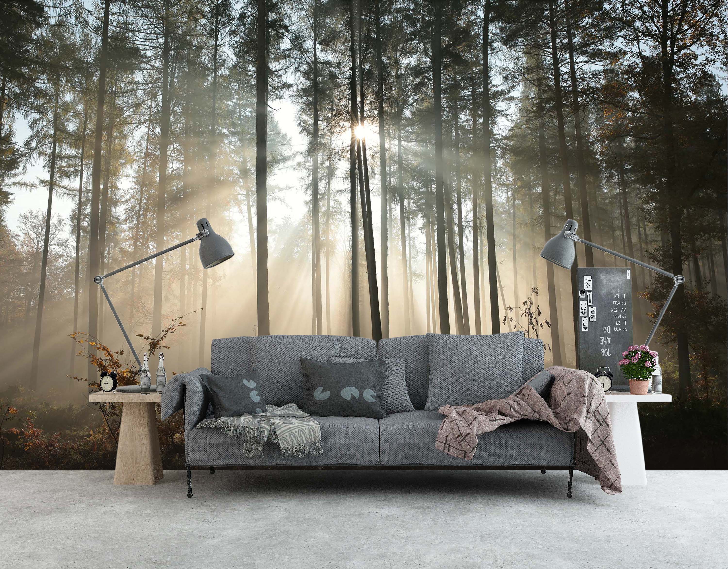 3D Woods Sunlight 1458 Wall Murals