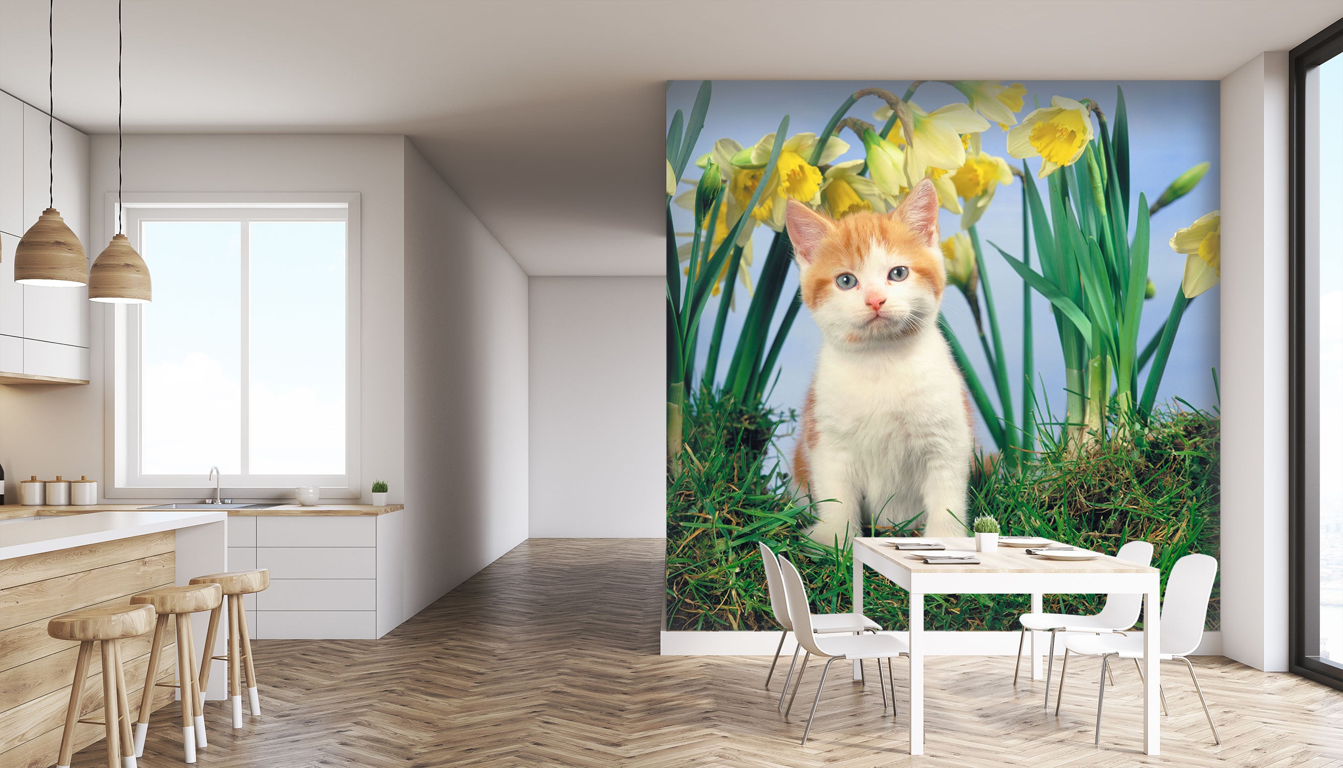 3D Orange Cat 171 Wall Murals