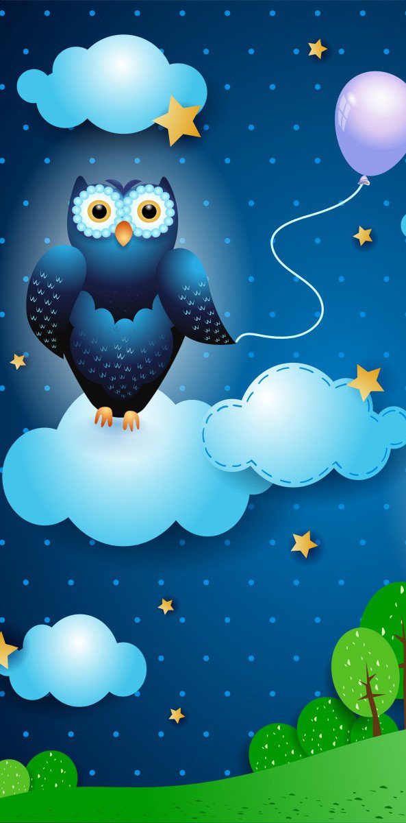 3D owl balloon a bank of clouds night door mural Wallpaper AJ Wallpaper