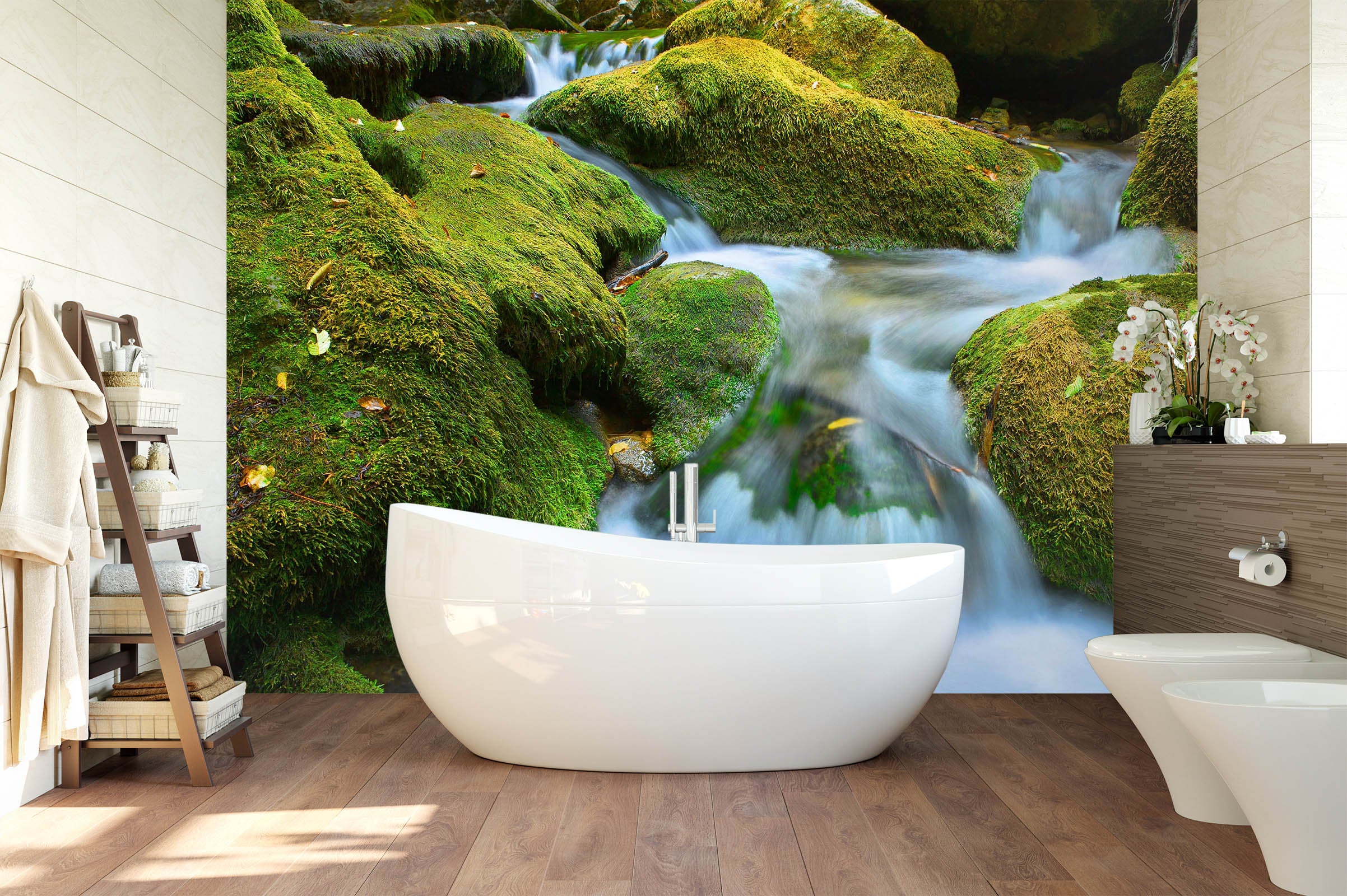 3D Mountain Stream 1631 Wall Murals