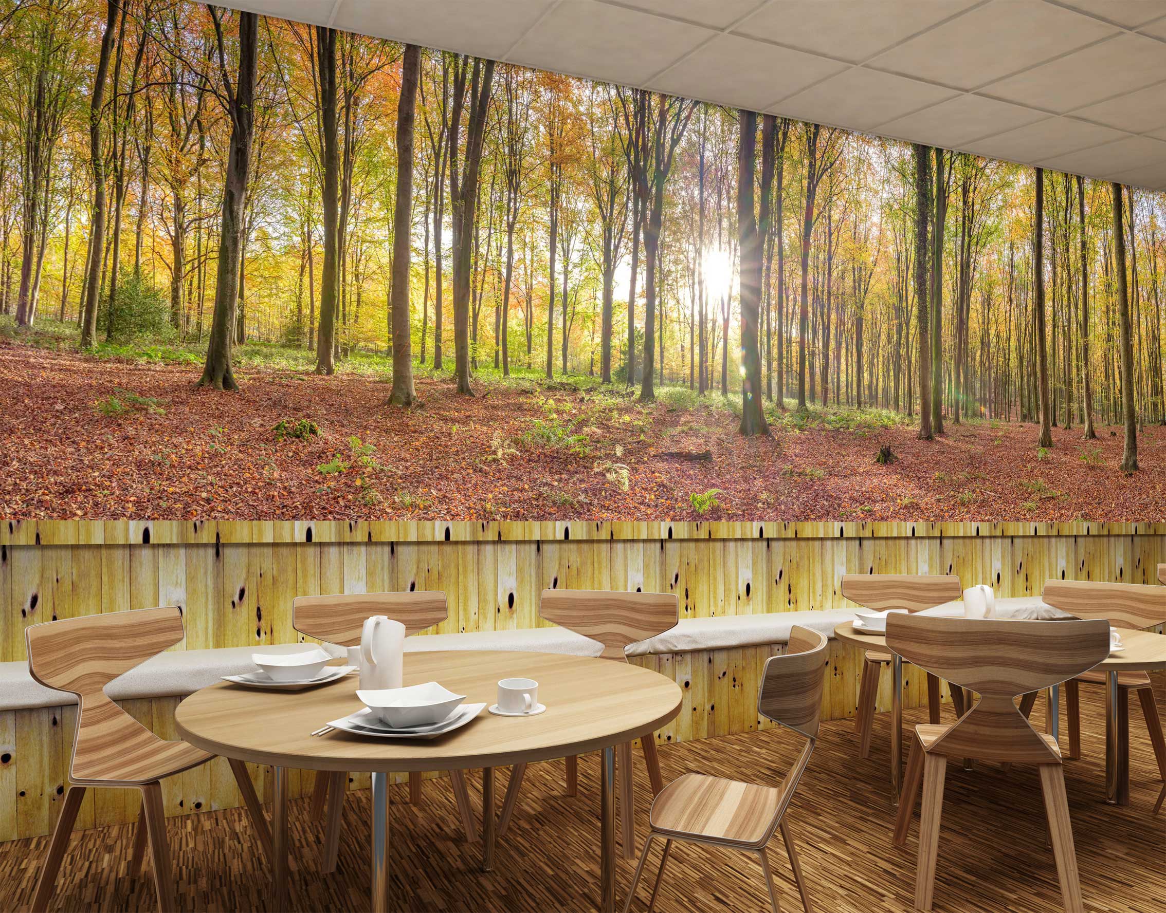3D Sunshine Forest 6274 Assaf Frank Wall Mural Wall Murals