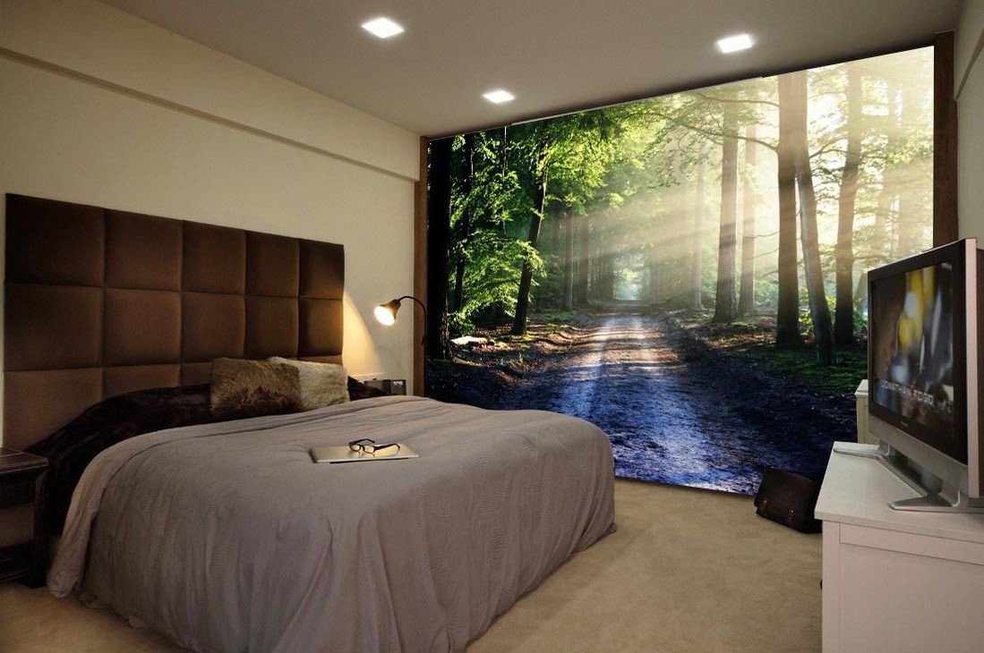 Quiet Forest Road Wallpaper AJ Wallpaper 2