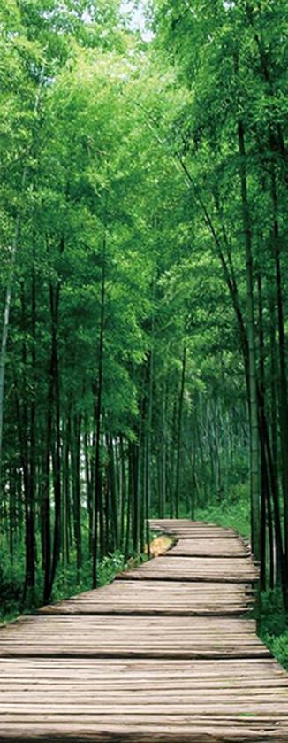 3D bamboo forest brick road bamboo leaf door mural Wallpaper AJ Wallpaper