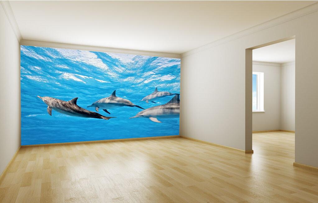 Swimming Dolphins Wallpaper AJ Wallpaper