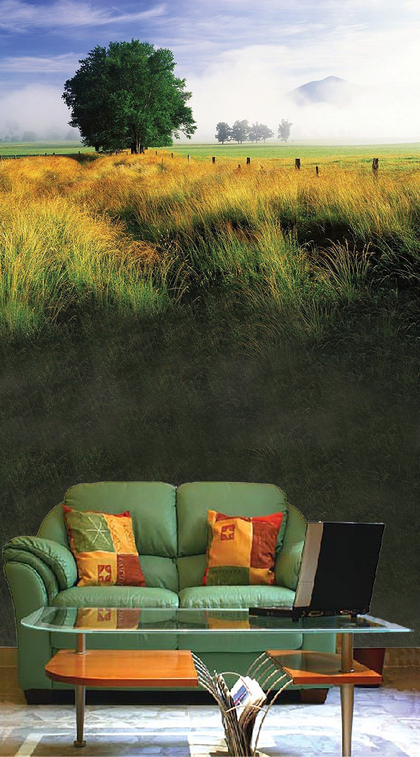 Lush Grassland Wallpaper AJ Wallpaper