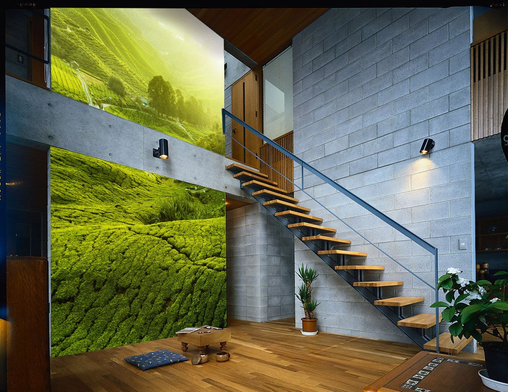 Hilly Tea Plantation 1 Wallpaper AJ Wallpaper