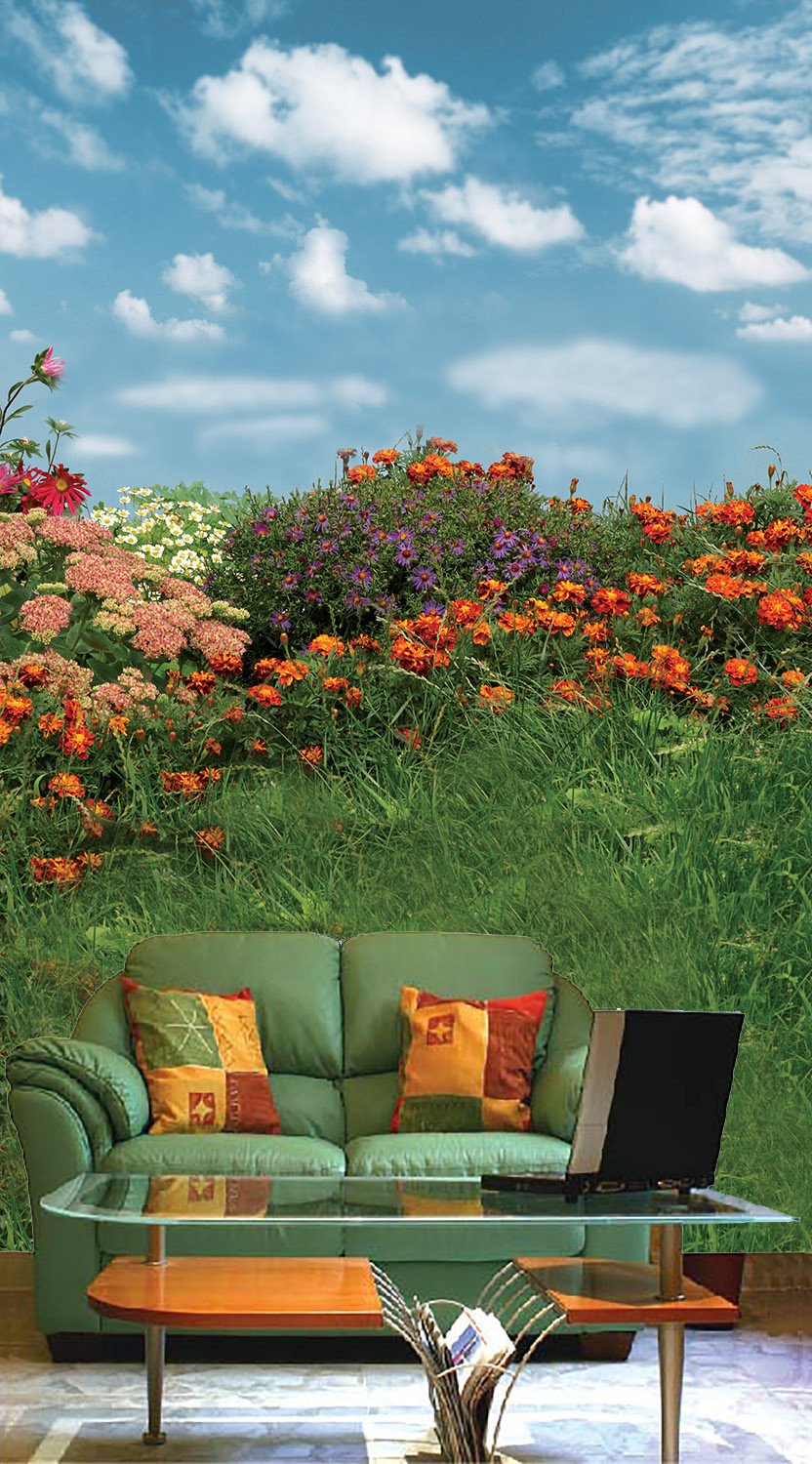 Various Colors Flowers Wallpaper AJ Wallpaper