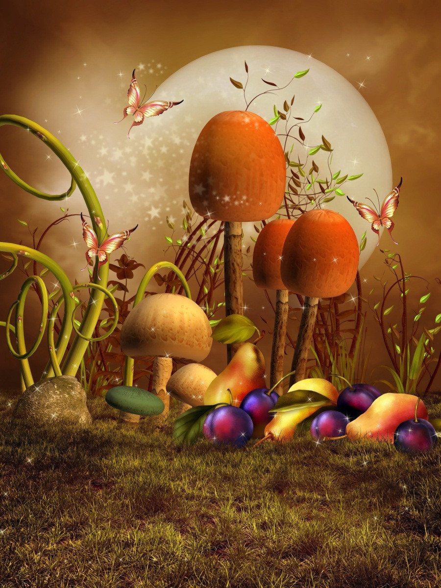 3D Mushrooms And Butterflies 484 Stair Risers Wallpaper AJ Wallpaper