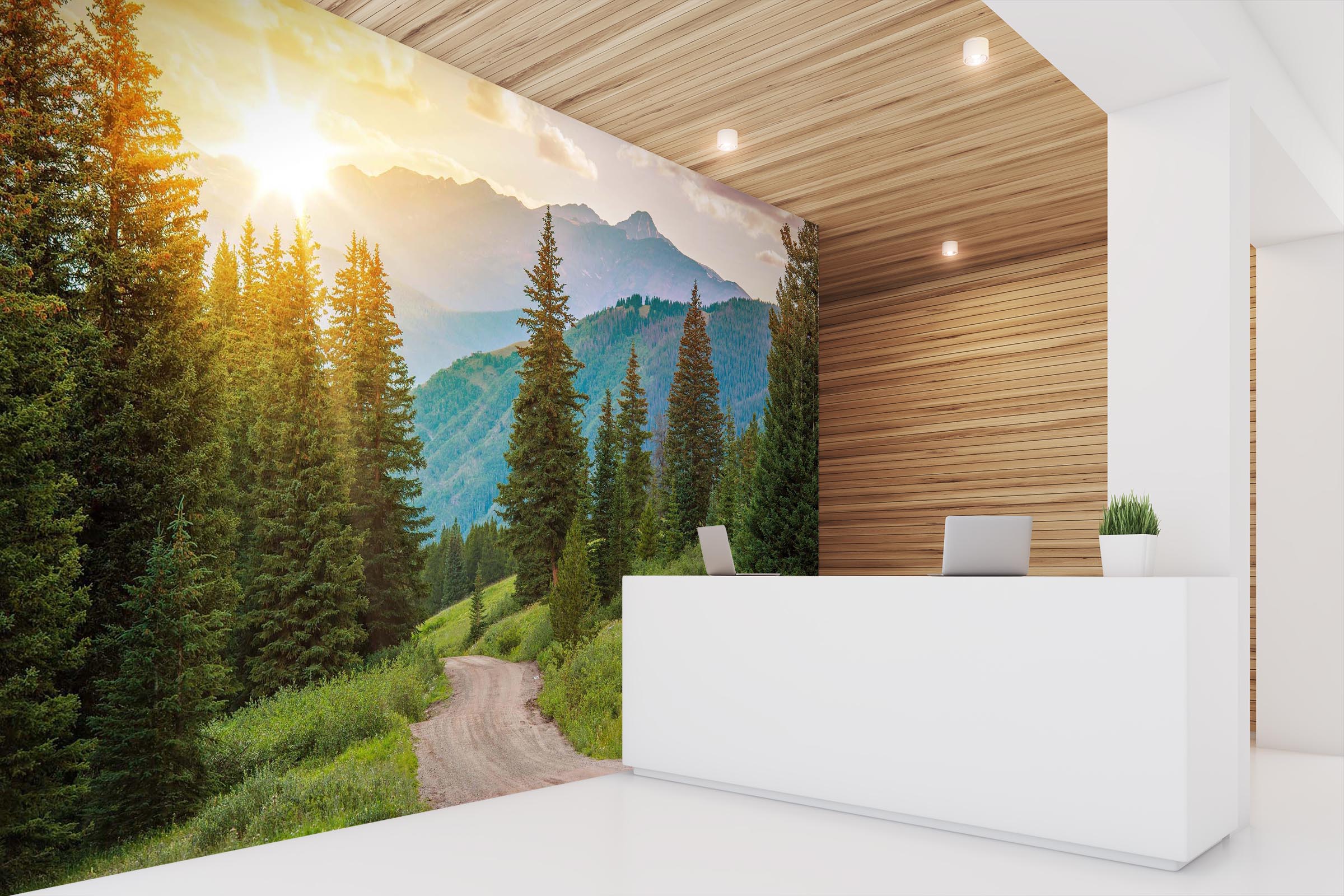 3D Sunlight Nature 026 Wall Murals Wallpaper AJ Wallpaper 2