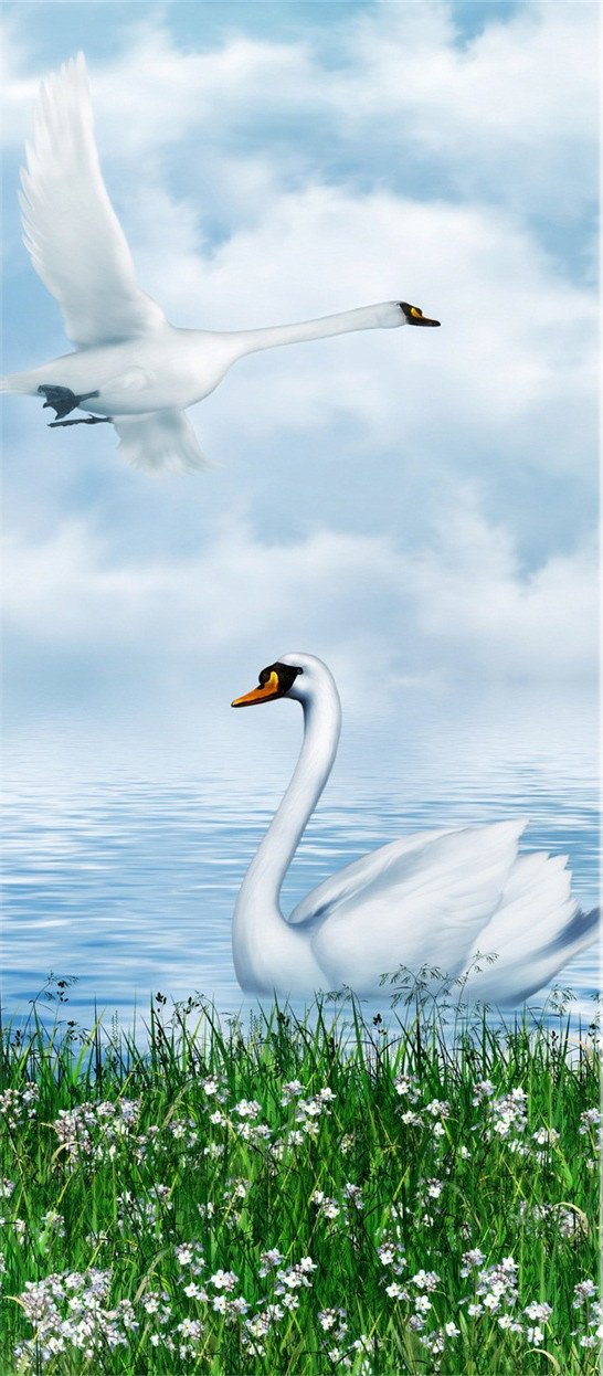 3D swan the blue sky and white clouds door mural Wallpaper AJ Wallpaper