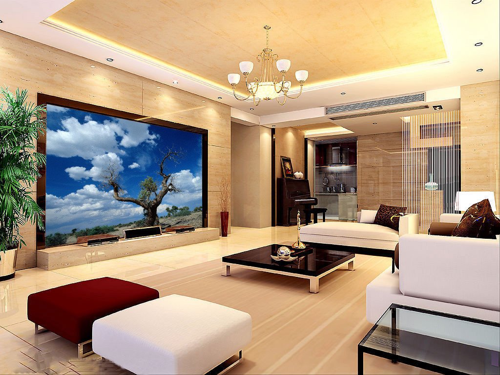 Wilderness Old Tree Wallpaper AJ Wallpaper