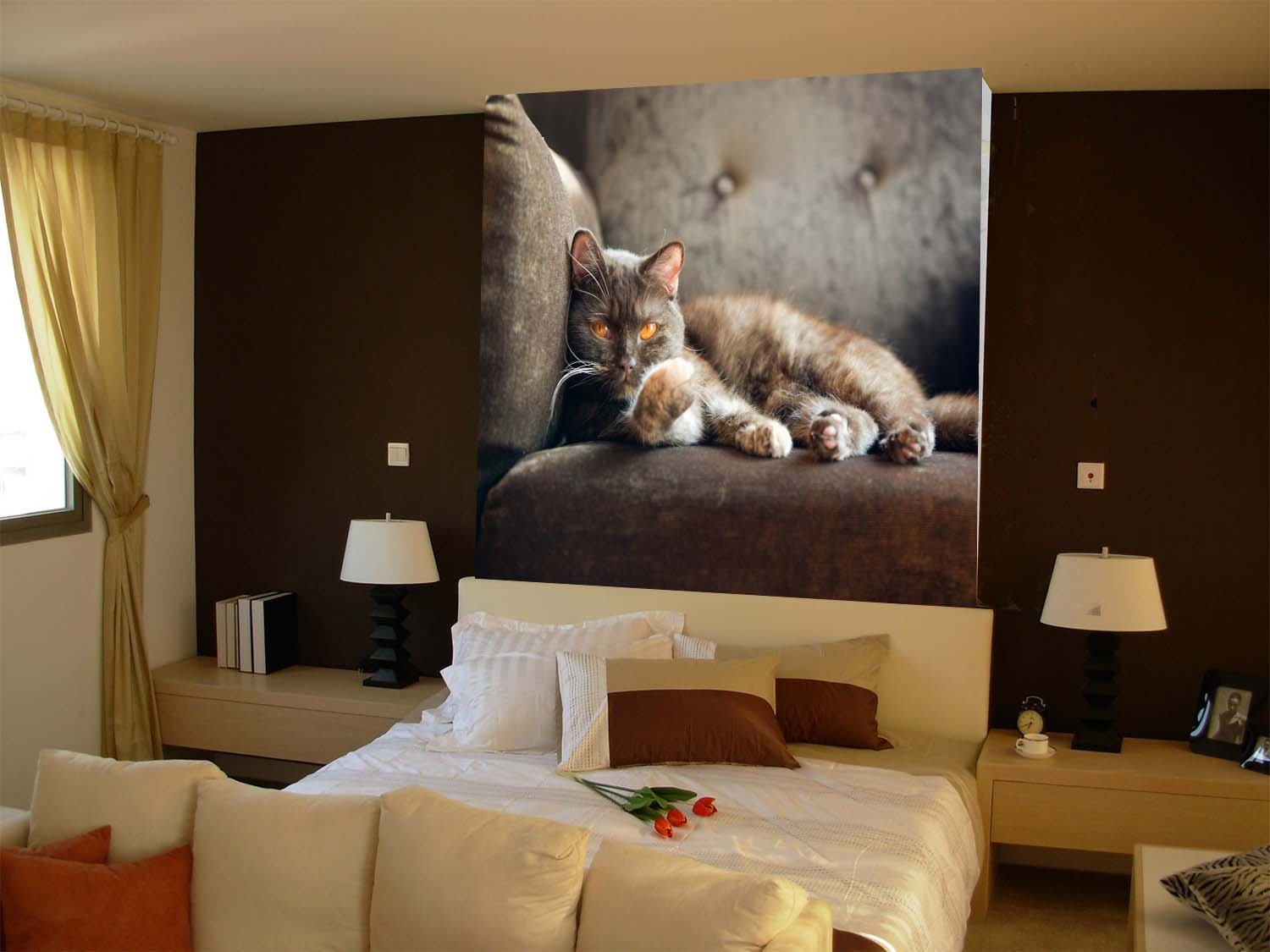 Staring Cat 1 Wallpaper AJ Wallpaper