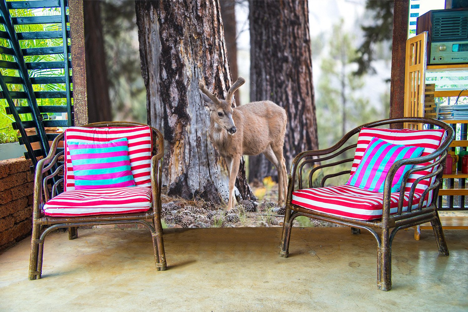 3D A Little Deer 628 Wallpaper AJ Wallpaper