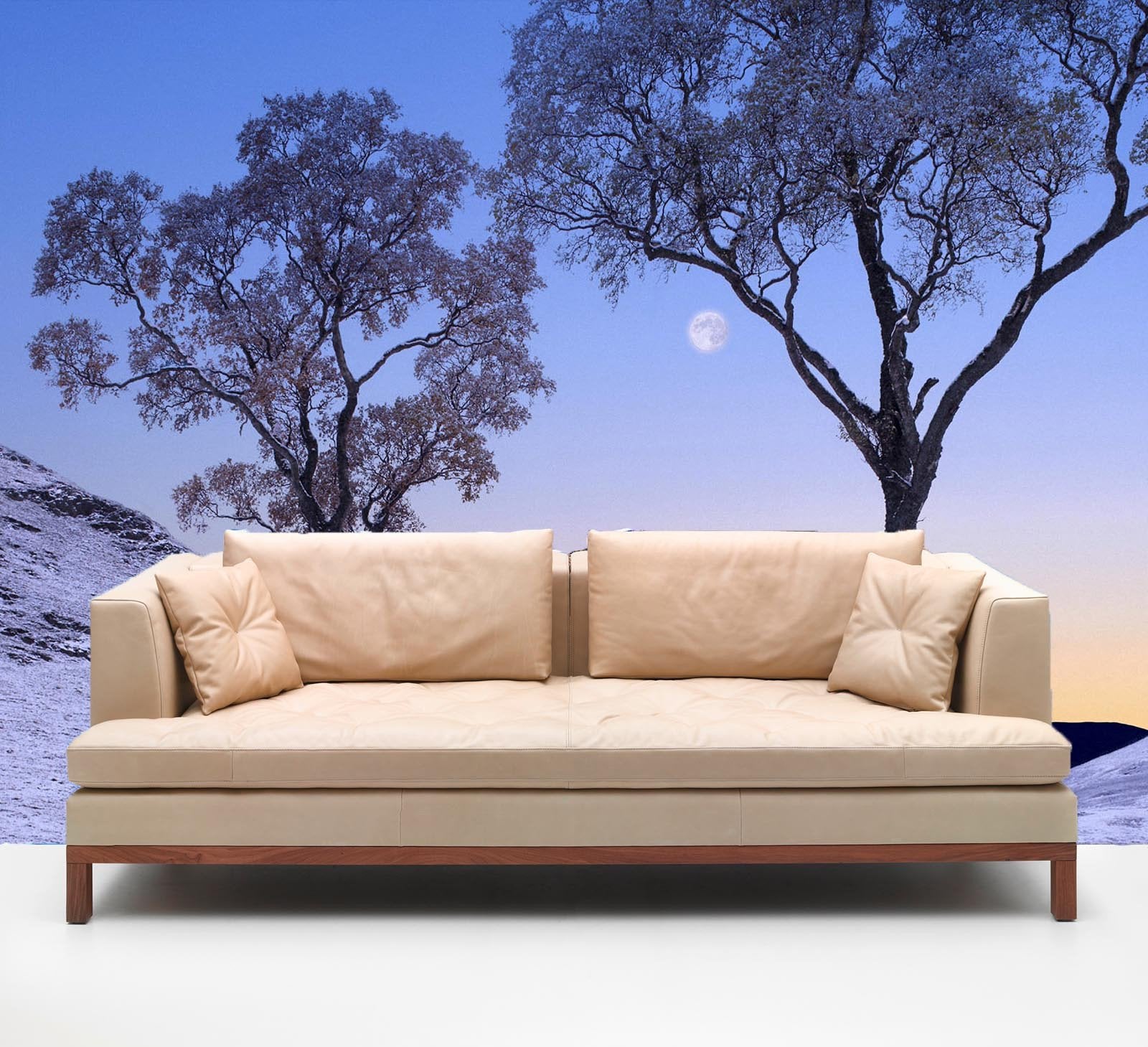 Graceful Trees Wallpaper AJ Wallpaper