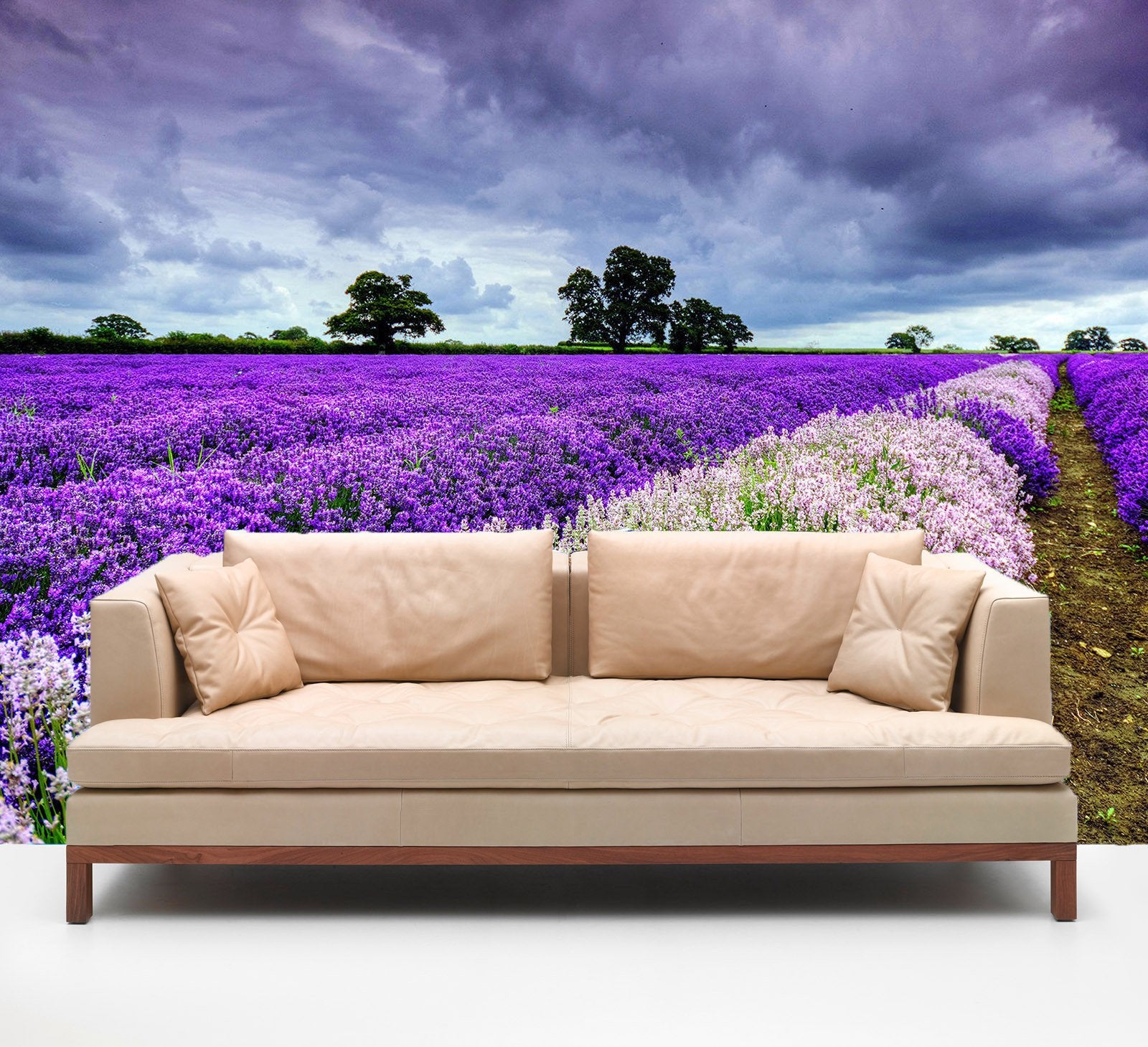 Blooming Flowers Fields Wallpaper AJ Wallpaper