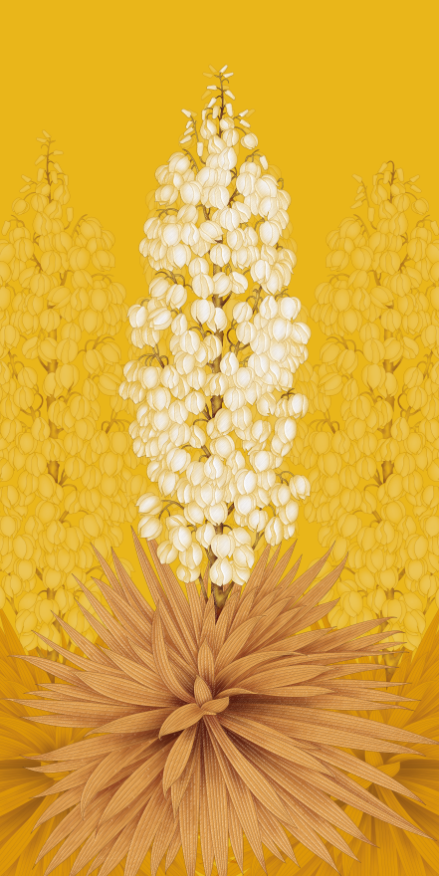 Blooming Plants Wallpaper AJ Wallpaper