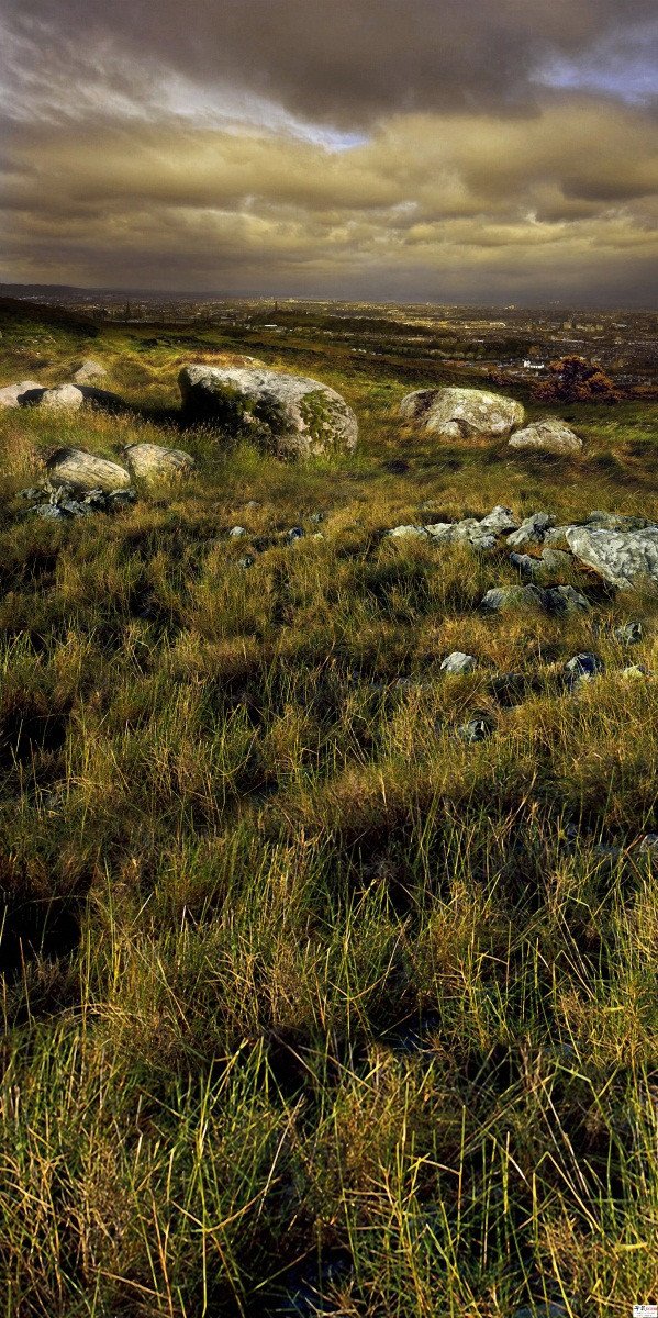 3D Grassland Stones 44 Stair Risers Wallpaper AJ Wallpaper