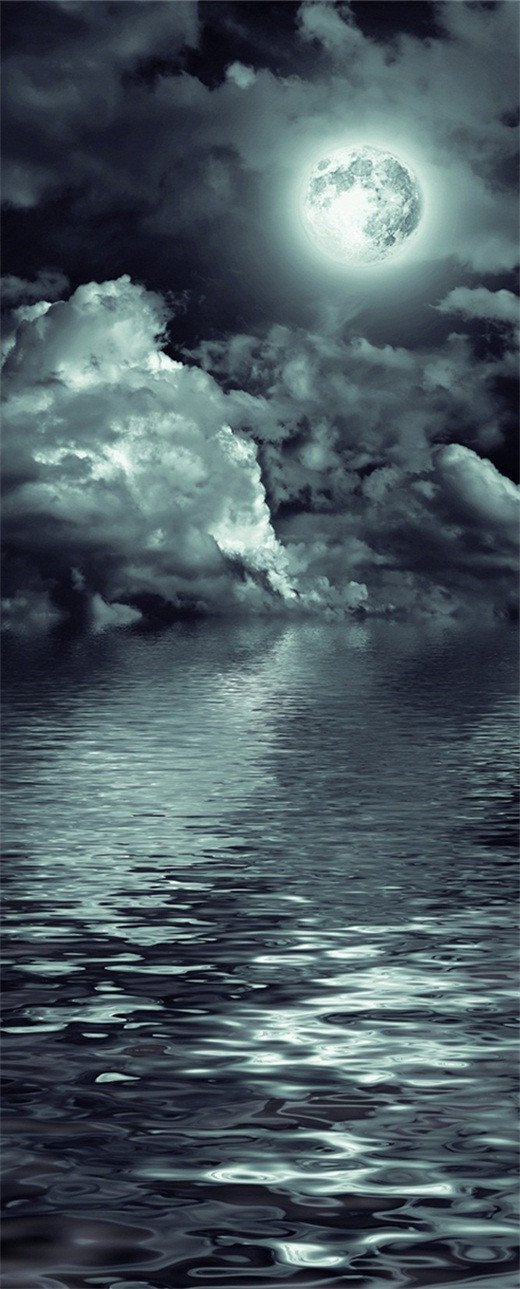 3D the moon and the sea at night door mural Wallpaper AJ Wallpaper