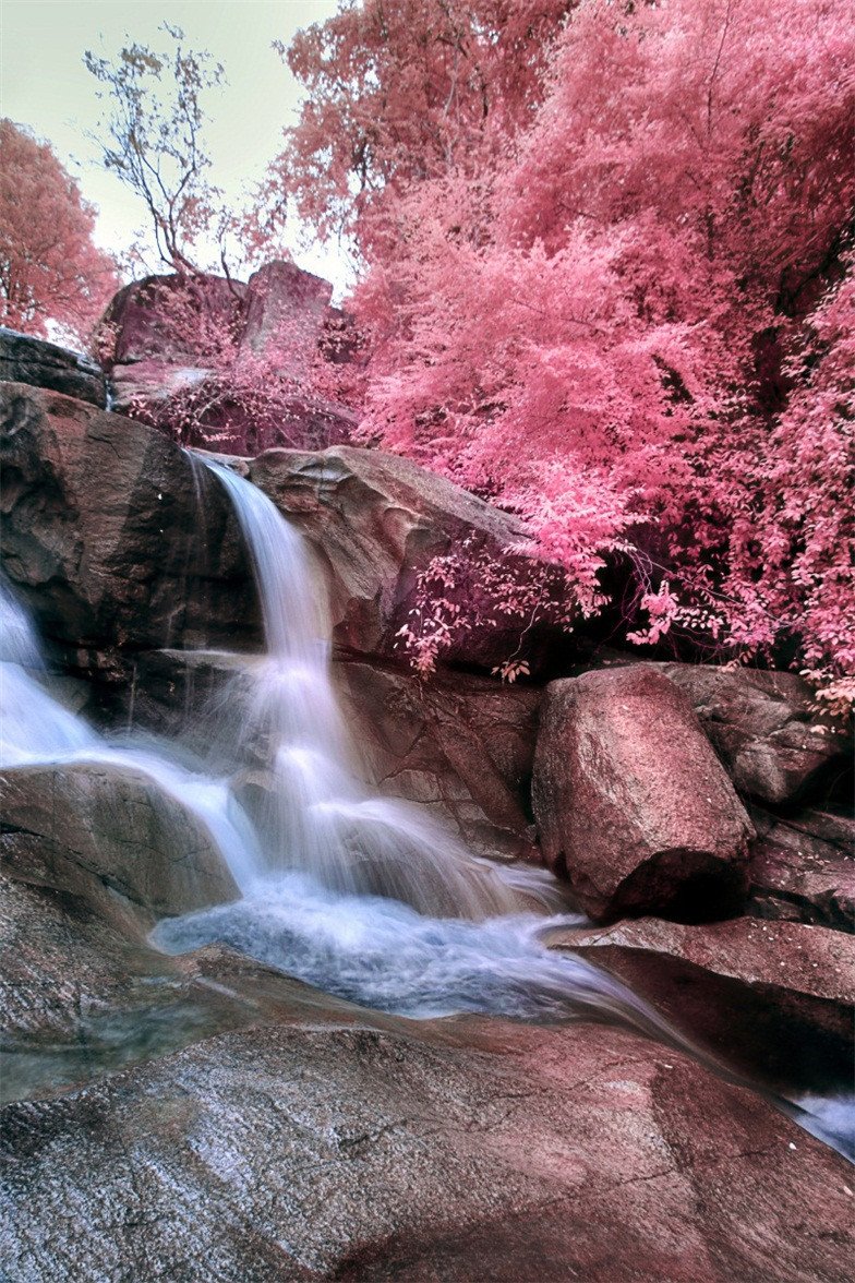 3D Stony River Trees 43 Stair Risers Wallpaper AJ Wallpaper