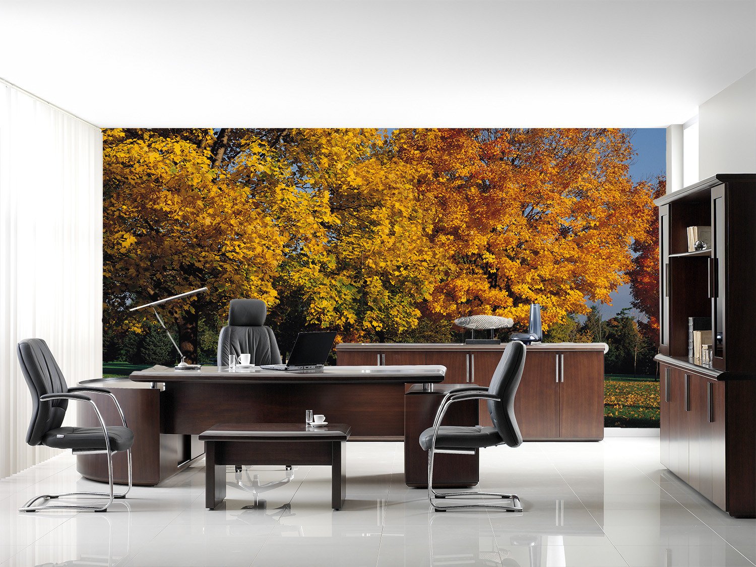 Grassland Yellow Trees Wallpaper AJ Wallpaper