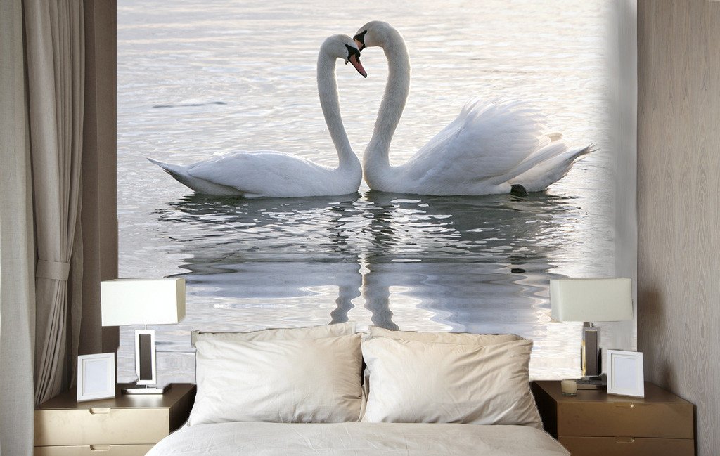 Embraced Swans Wallpaper AJ Wallpaper