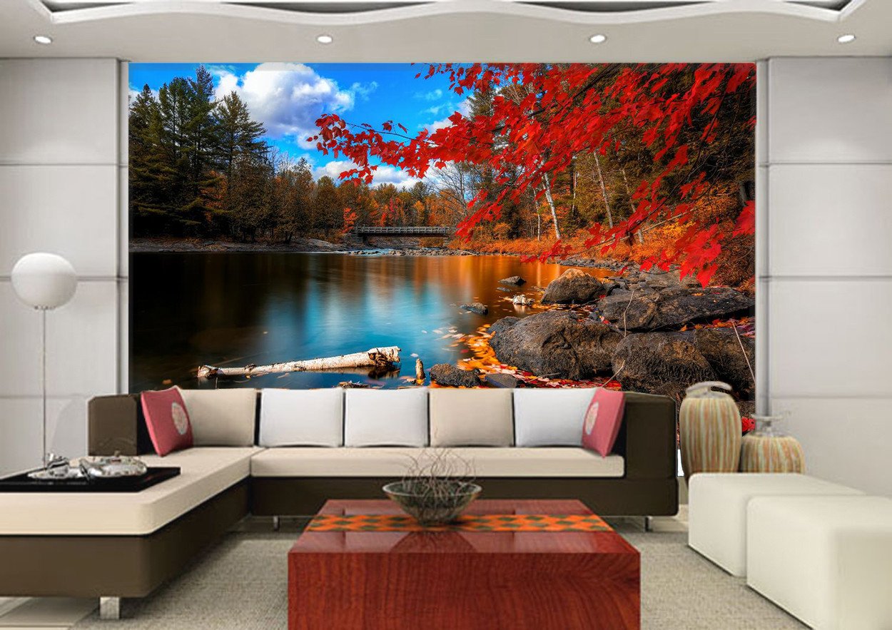 Redwood Tree And Beauty Scenery 9 Wallpaper AJ Wallpaper 1