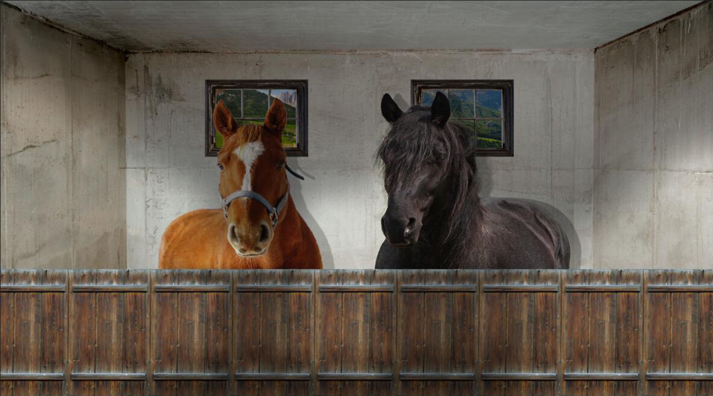 3D Horses House 016 Garage Door Mural Wallpaper AJ Wallpaper