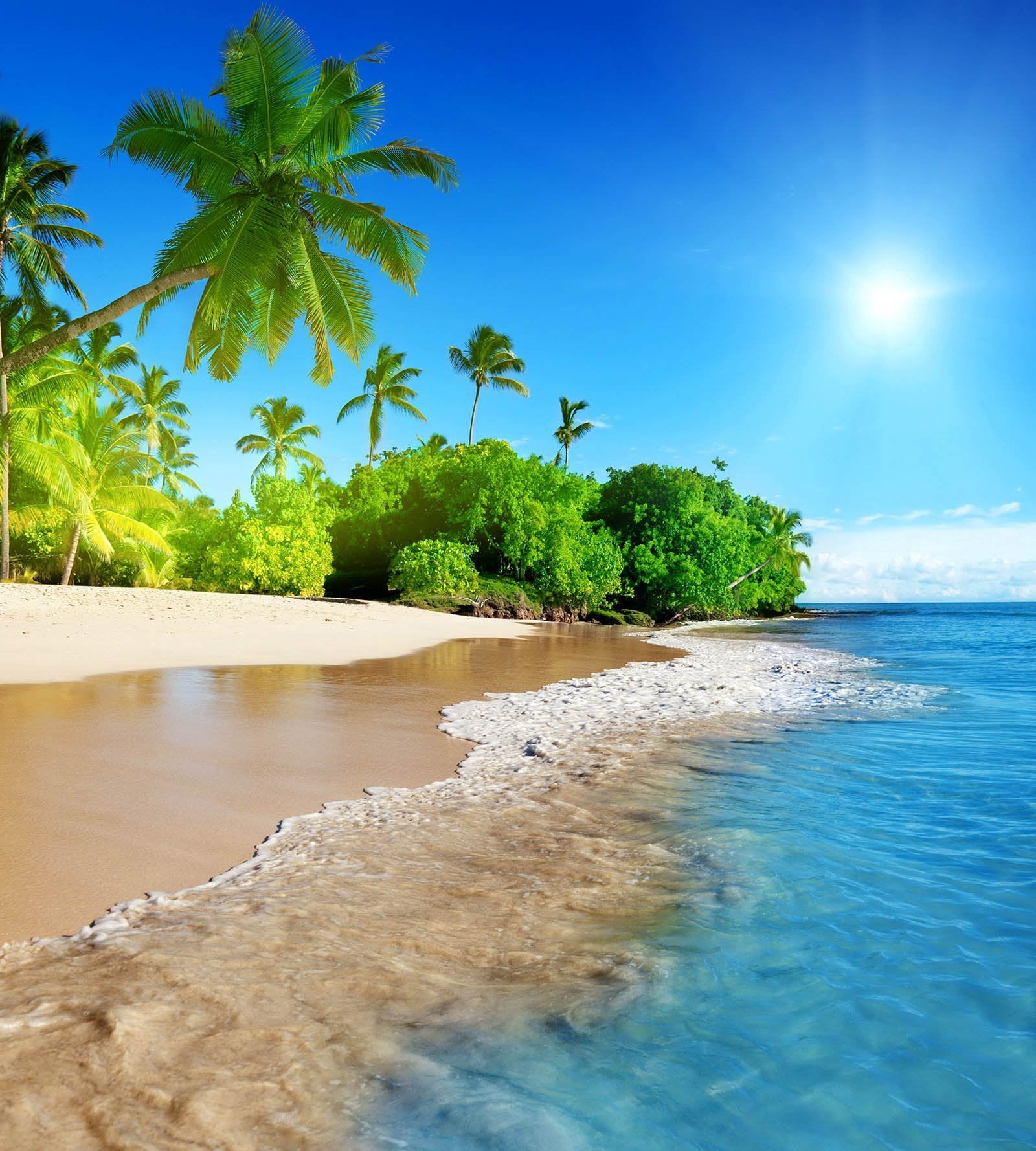 3D Seaside Coconut Tree 121 Shower Curtain 3D Shower Curtain AJ Creativity Home