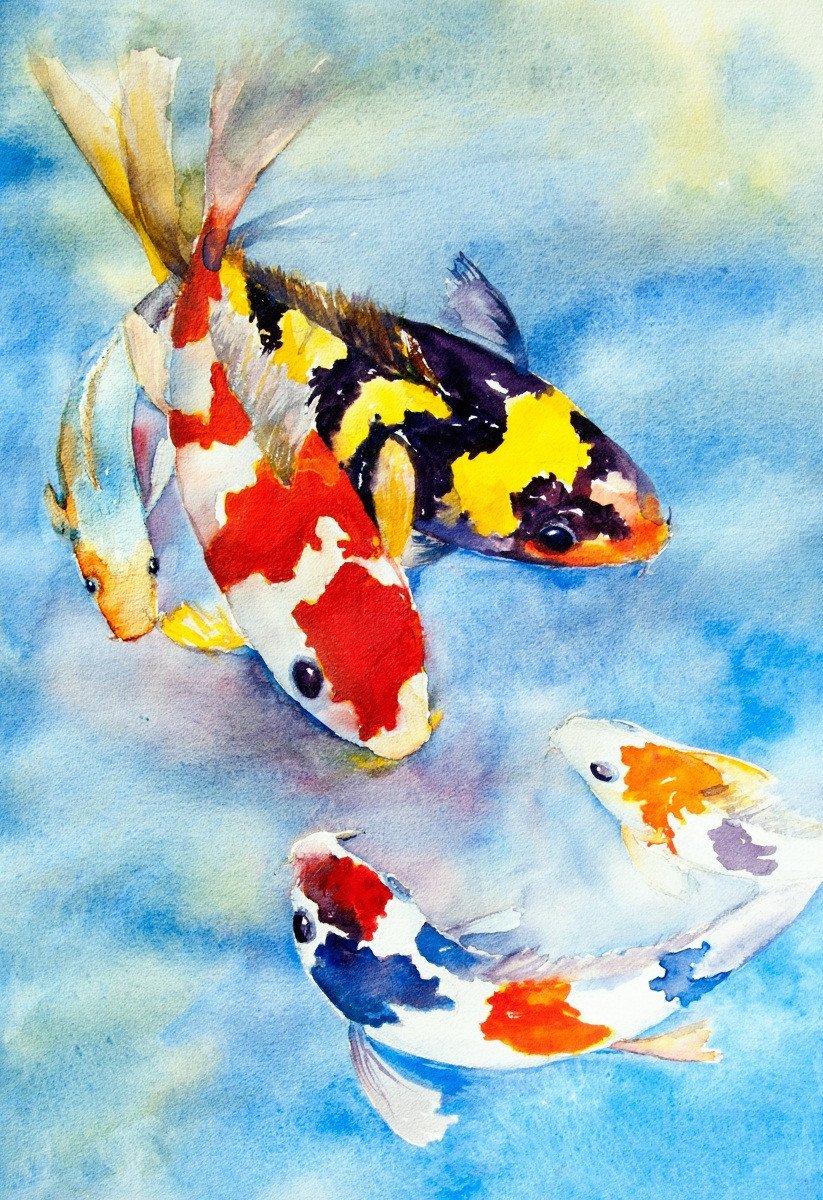 3D Colorful Fishes 482 Stair Risers Wallpaper AJ Wallpaper