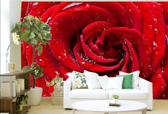 Red Flower 3 Wallpaper AJ Wallpaper