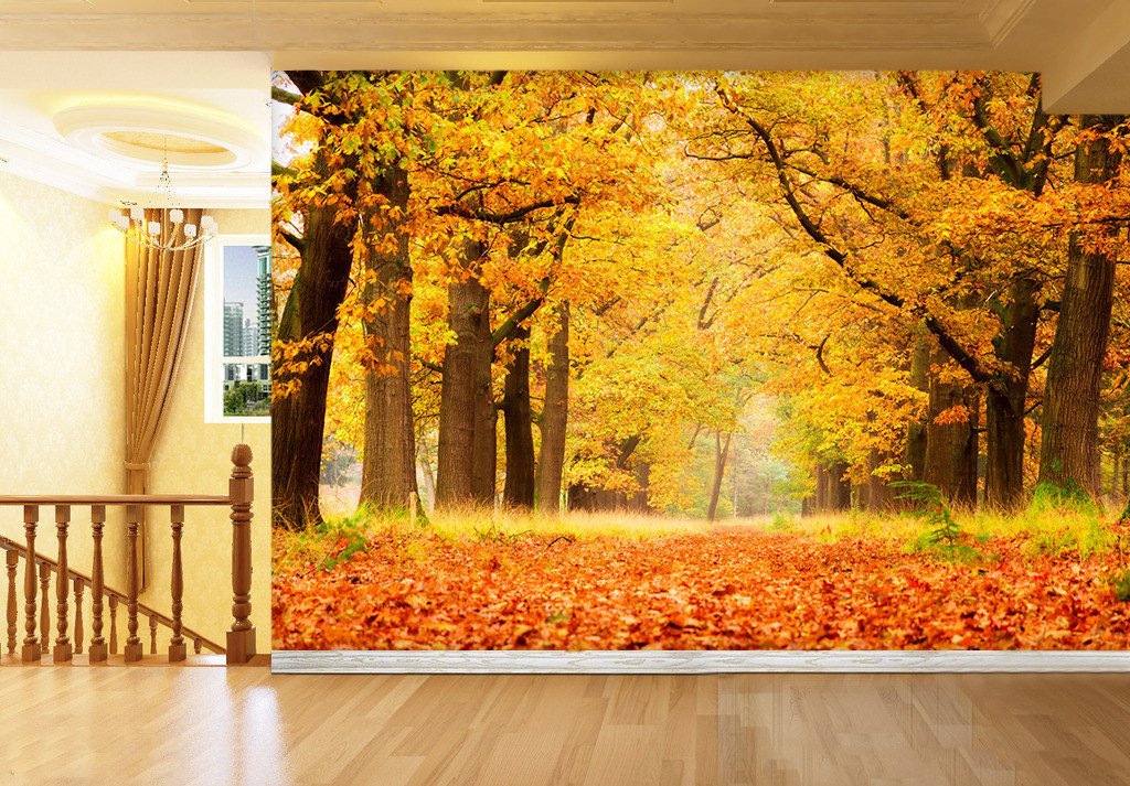 3D Autumn Forest Path 1 Wallpaper AJ Wallpaper