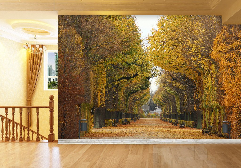 3D Forest Polar Path 722 Wallpaper AJ Wallpaper