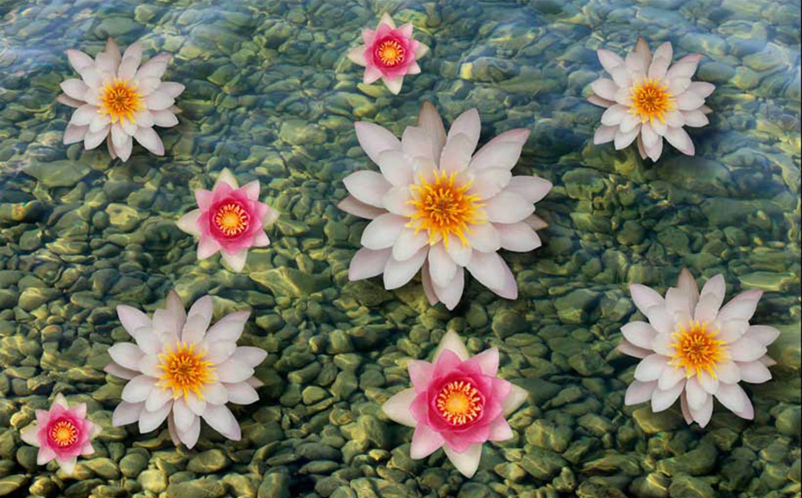 3D Lake Flowers Stones Kitchen Mat Floor Mural Wallpaper AJ Wallpaper