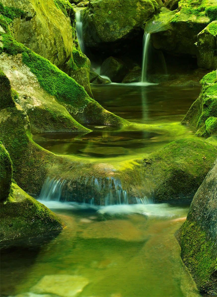 3D Pretty River Scenery 480 Stair Risers Wallpaper AJ Wallpaper