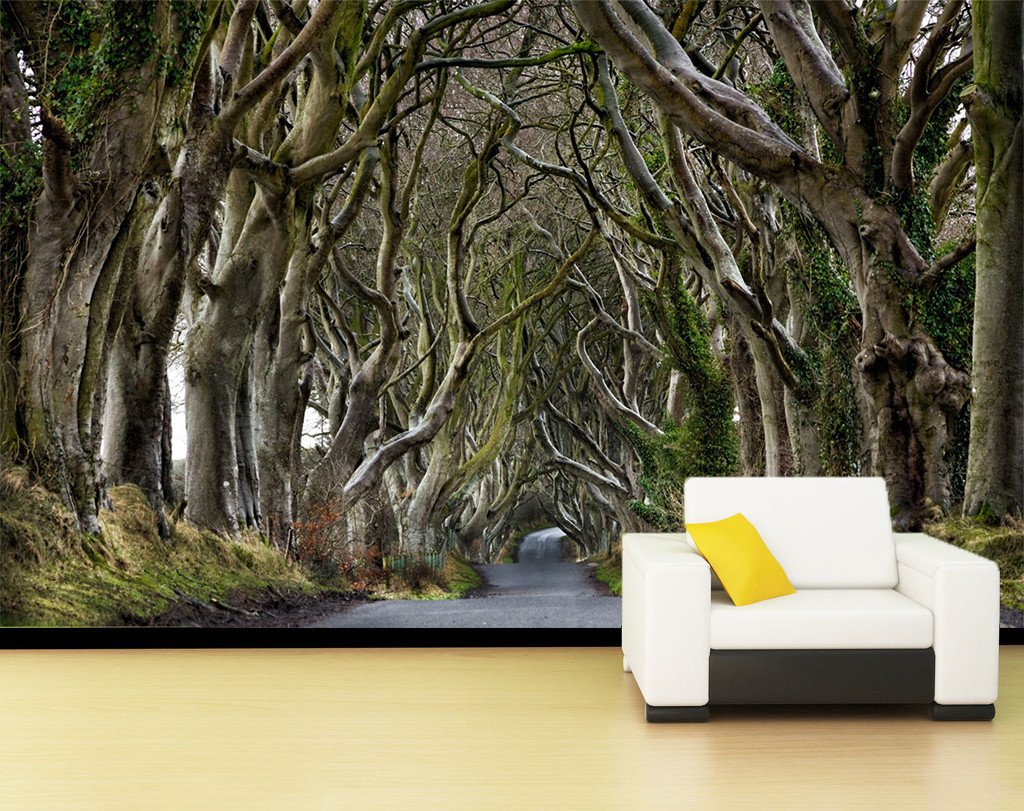 3D Trunk Forest 654 Wallpaper AJ Wallpaper 2