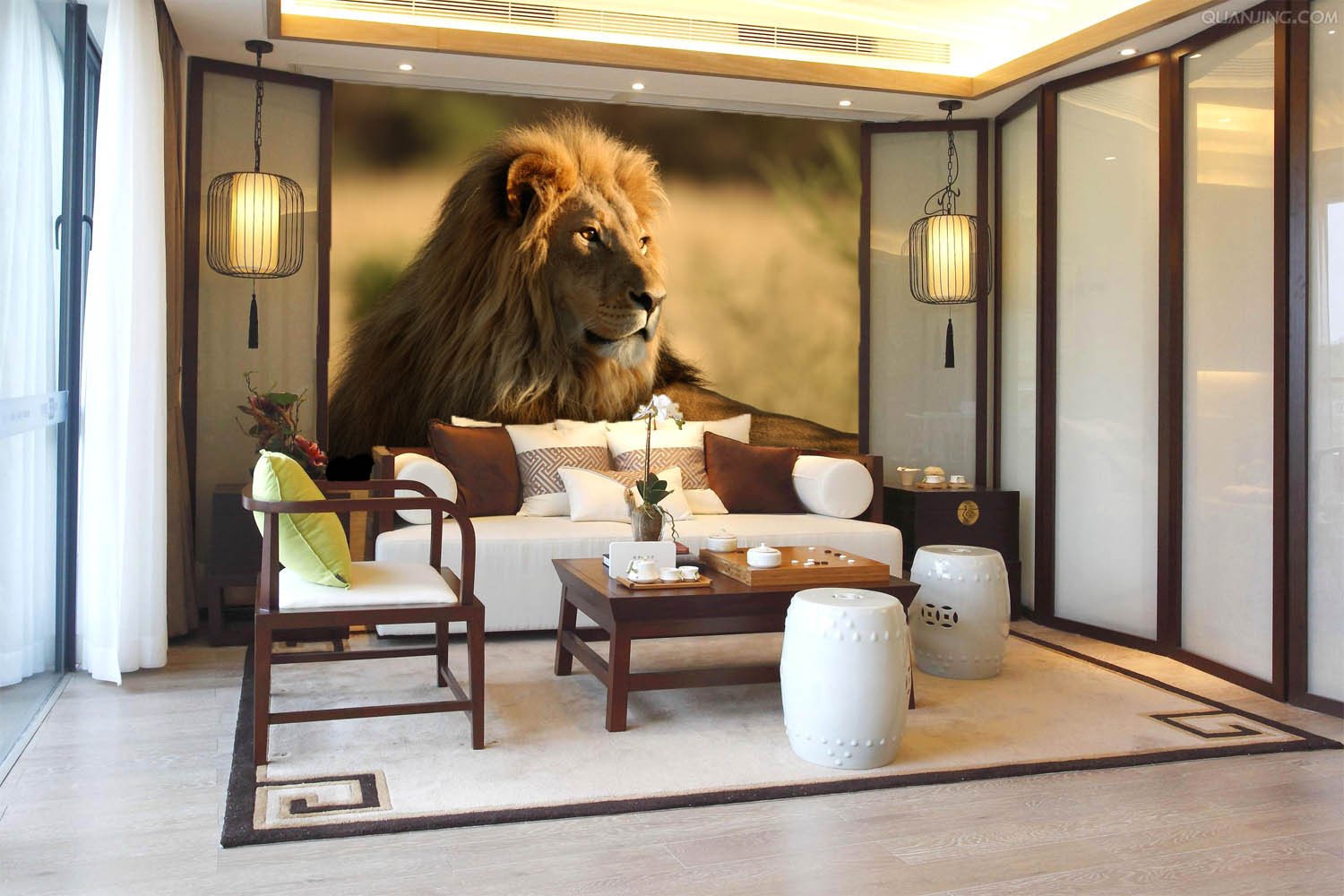 Big Lion Wallpaper AJ Wallpaper