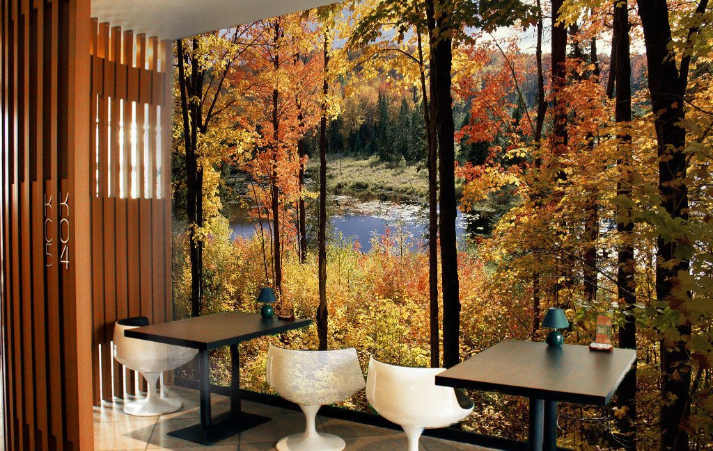 Colorful Forest Wallpaper AJ Wallpaper