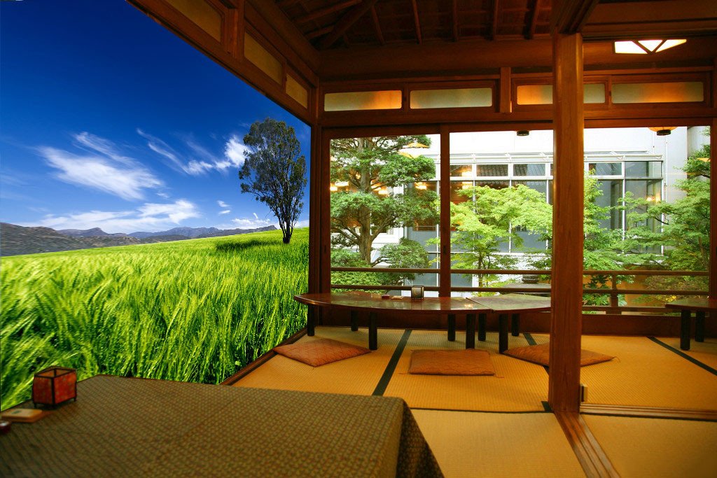 Green Wheat Field Wallpaper AJ Wallpaper