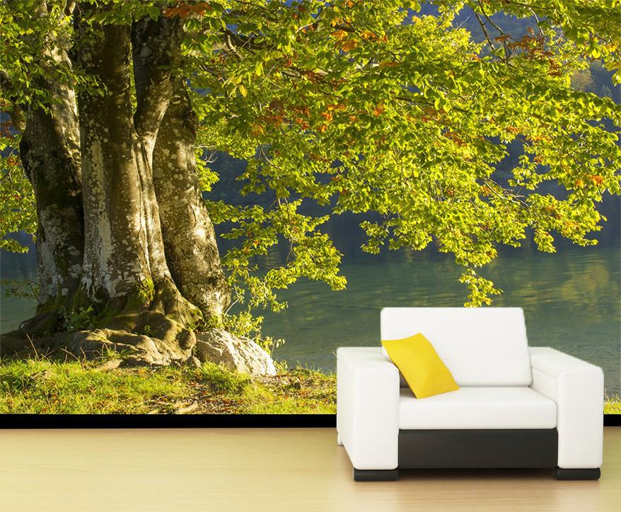 Green Tree Old Trunk 665 Wallpaper AJ Wallpaper