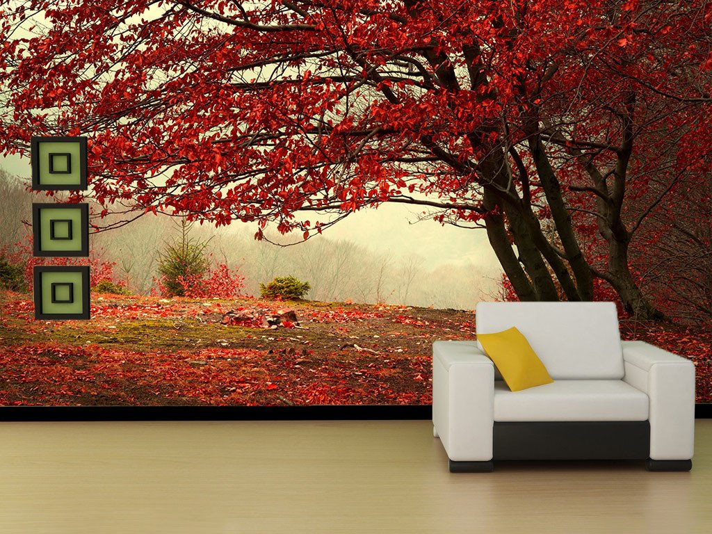 Mountain Red Tree Wallpaper AJ Wallpaper