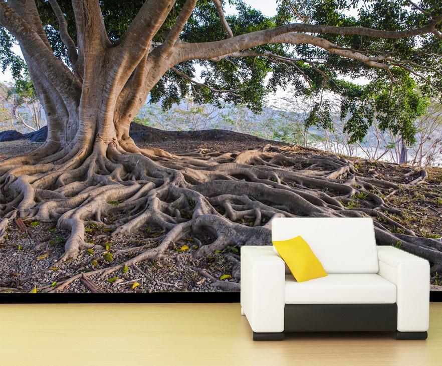 3D Old Root Trunk 66 Wallpaper AJ Wallpaper