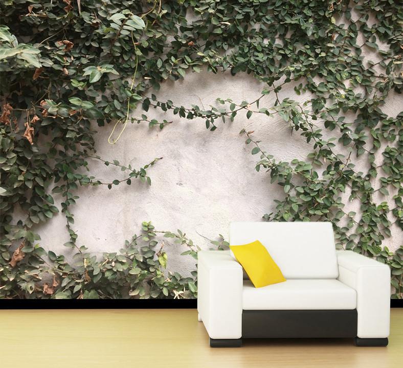 3D Morning Glory Plants 874 Wallpaper AJ Wallpaper