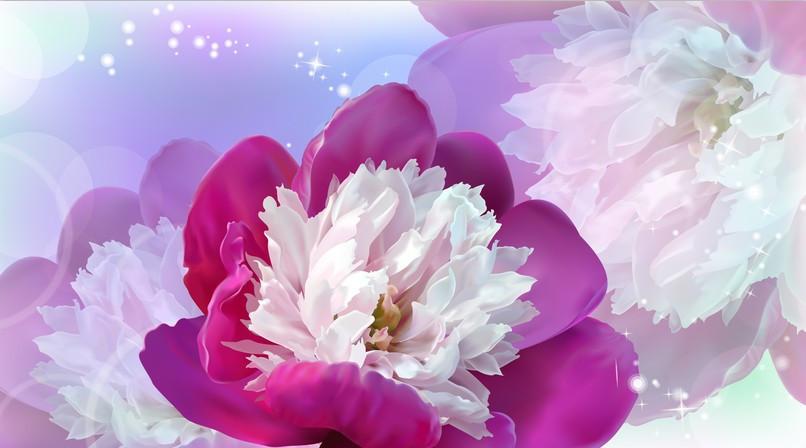 Blooming Blossoms 1 Wallpaper AJ Wallpaper