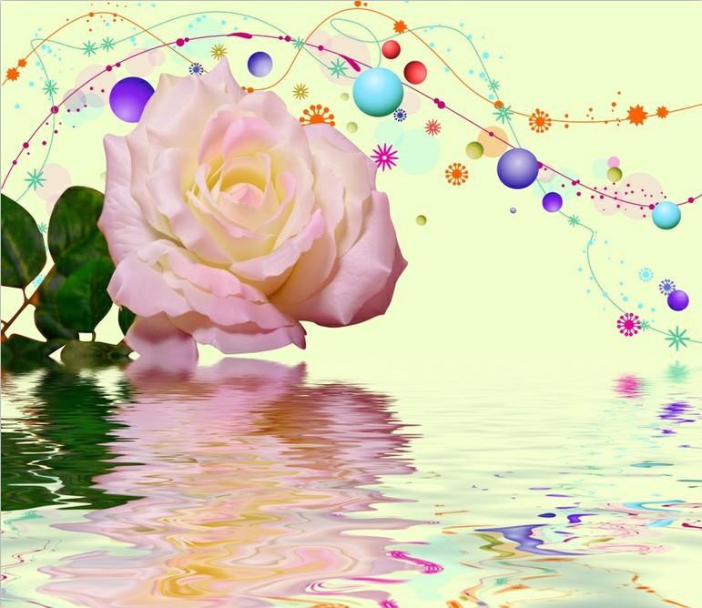 China Rose Wallpaper AJ Wallpaper