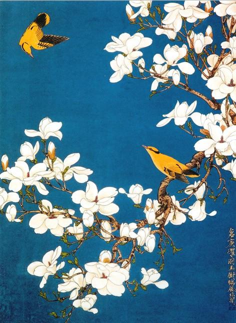 Flowers 2 Wallpaper AJ Wallpaper