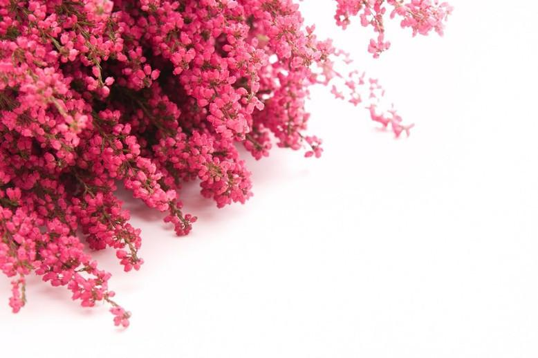 Pink Bouquets Wallpaper AJ Wallpaper